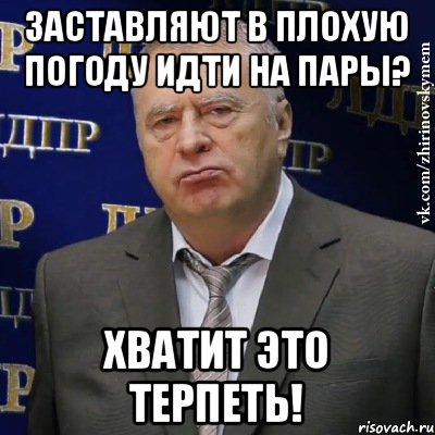 Заставляют в плохую погоду идти на пары? Хватит это терпеть!, Мем Хватит это терпеть (Жириновский)