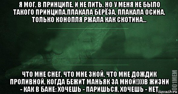 я мог, в принципе, и не пить, но у меня не было такого принципа.плакала берёза, плакала осина, только конопля ржала как скотина... что мне снег, что мне зной, что мне дождик проливной, когда бежит маньяк за мной!)))в жизни - как в бане: хочешь - паришься, хочешь - нет, Мем Игра слов 2