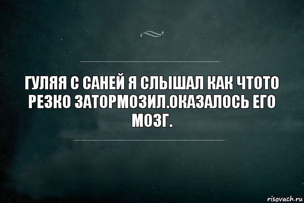 Гуляя с Саней я слышал как чтото резко затормозил.Оказалось его мозг., Комикс Игра Слов