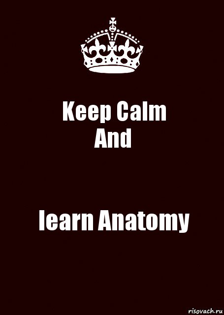 Keep Calm
And learn Anatomy