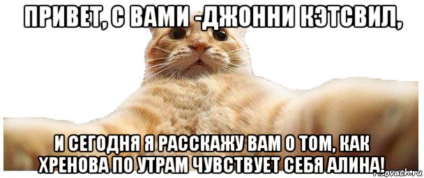 привет, с вами -джонни кэтсвил, и сегодня я расскажу вам о том, как хренова по утрам чувствует себя алина!, Мем   Кэтсвилл