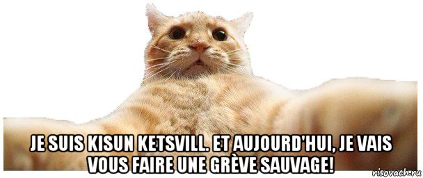  je suis kisun ketsvill. et aujourd'hui, je vais vous faire une grève sauvage!, Мем   Кэтсвилл