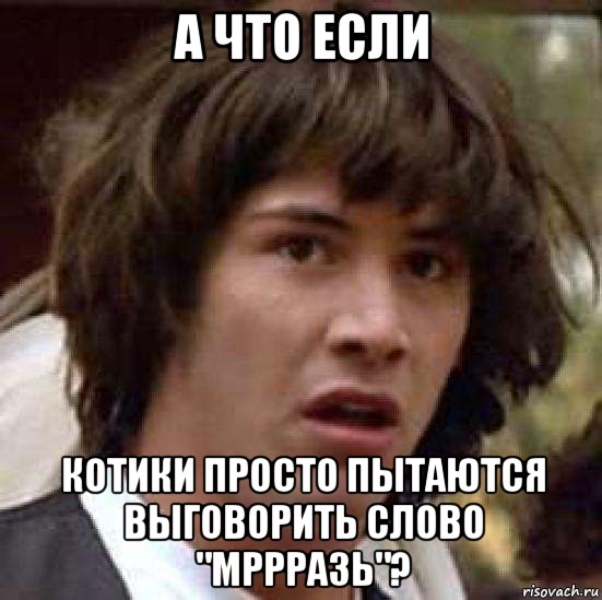 А что если котики просто пытаются выговорить слово "мррразь"?, Мем А что если (Киану Ривз)