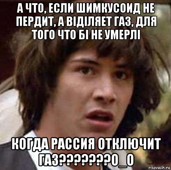 а что, если шимкусоид не пердит, а віділяет газ, для того что бі не умерлі когда рассия отключит газ???????о_о, Мем А что если (Киану Ривз)