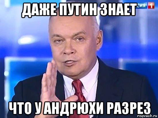 даже путин знает что у андрюхи разрез, Мем Киселёв 2014