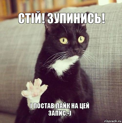 стiй! Зупинись! i постав лайк на цей запис:-)