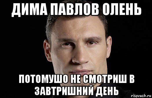 дима павлов олень потомушо не смотриш в завтришний день, Мем Кличко