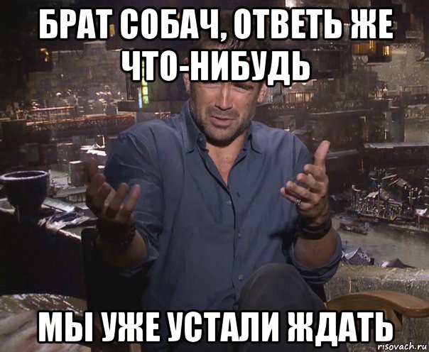 брат собач, ответь же что-нибудь мы уже устали ждать, Мем колин фаррелл удивлен