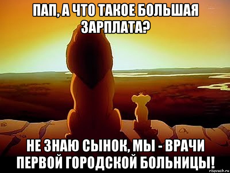 Пап, а что такое БОЛЬШАЯ ЗАРПЛАТА? Не знаю сынок, мы - врачи Первой городской больницы!, Мем  король лев