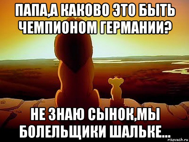 папа,а каково это быть чемпионом германии? не знаю сынок,мы болельщики шальке..., Мем  король лев