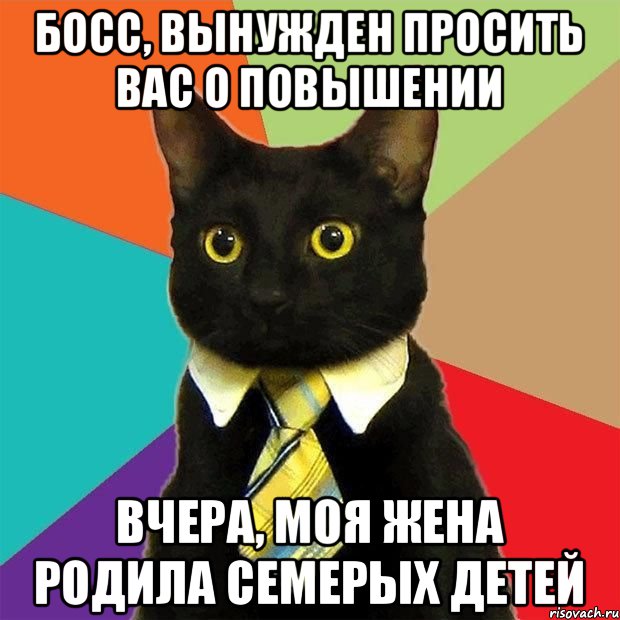 Босс, вынужден просить вас о повышении вчера, моя жена родила семерых детей, Мем  Кошечка