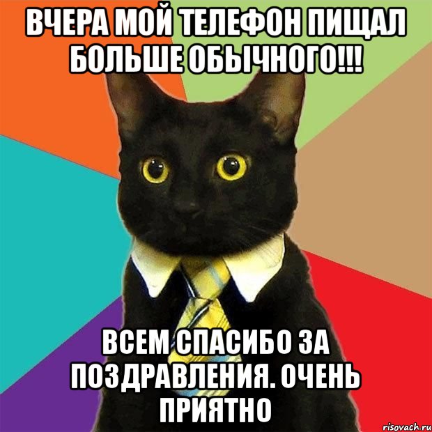 Вчера мой телефон пищал больше обычного!!! Всем спасибо за поздравления. Очень приятно, Мем  Кошечка