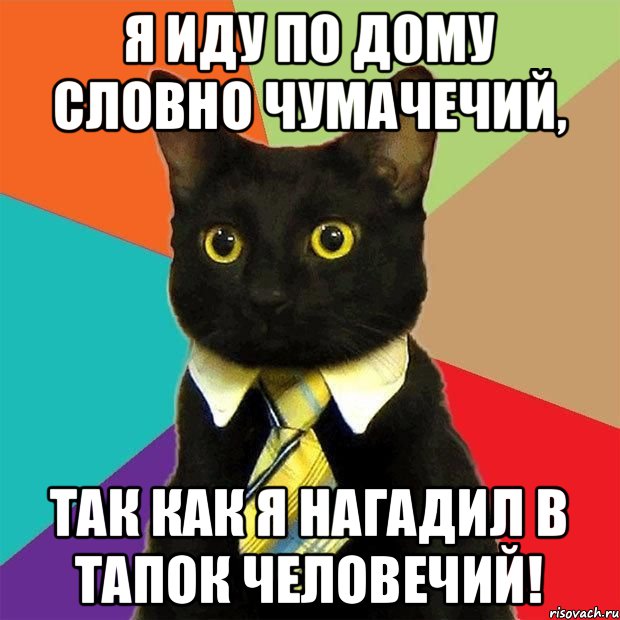 Я иду по дому словно чумачечий, так как я нагадил в тапок человечий!, Мем  Кошечка