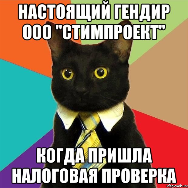 настоящий гендир ООО "Стимпроект" когда пришла налоговая проверка, Мем  Кошечка