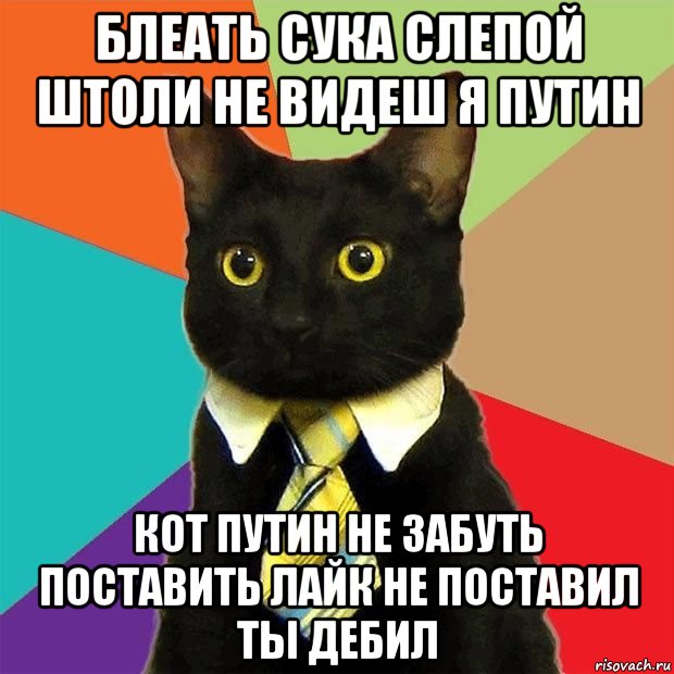 блеать сука слепой штоли не видеш я путин кот путин не забуть поставить лайк не поставил ты дебил, Мем  Кошечка