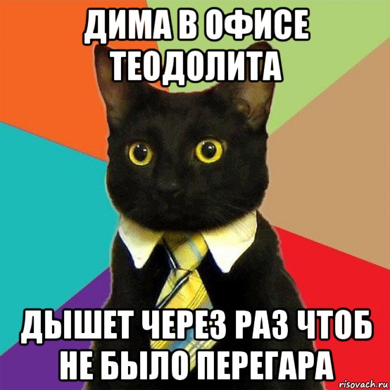 дима в офисе теодолита дышет через раз чтоб не было перегара, Мем  Кошечка