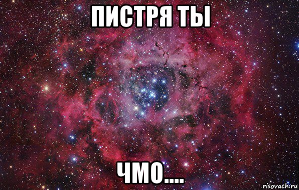 пистря ты чмо...., Мем Ты просто космос