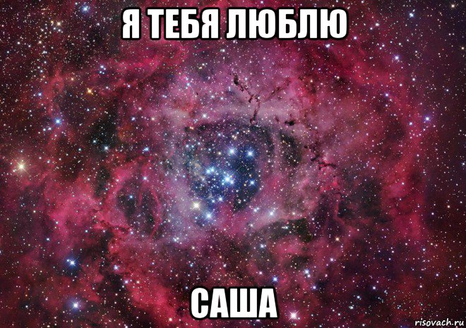 я тебя люблю саша