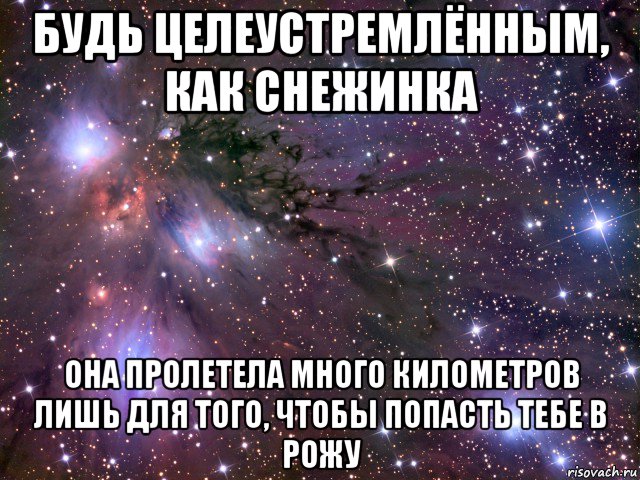 будь целеустремлённым, как снежинка она пролетела много километров лишь для того, чтобы попасть тебе в рожу, Мем Космос