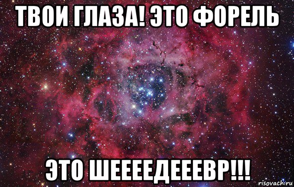 твои глаза! это форель это шеееедееевр!!!, Мем Ты просто космос