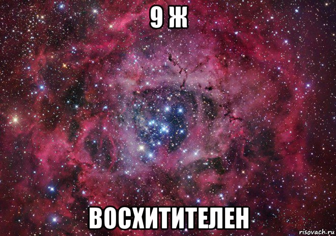 9 ж восхитителен