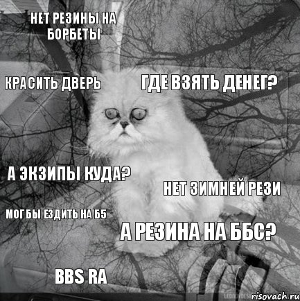 нет резины на борбеты нет зимней рези где взять денег? bbs ra а экзипы куда?  а резина на ббс? красить дверь мог бы ездить на б5 , Комикс  кот безысходность