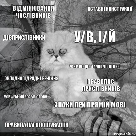 відмінювання числівників правопис прислівників у/в, і/й правила наголошування складнопідрядні речення вставні конструкції знаки при прямій мові дієприслівники морфемний розбір слова асиміляція та уподібнення, Комикс  кот безысходность