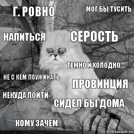 г. ровно провинция серость кому зачем не с кем поужинать мог бы тусить сидел бы дома напиться некуда пойти темно и холодно, Комикс  кот безысходность