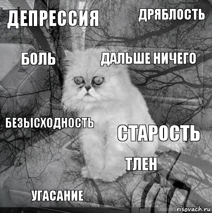 депрессия старость дальше ничего угасание безысходность дряблость тлен боль  , Комикс  кот безысходность