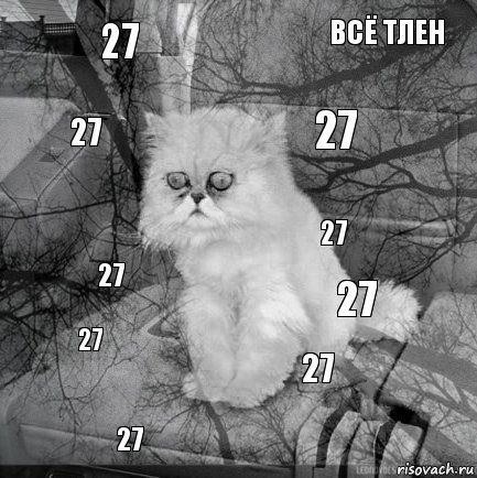 27 27 27 27 27 всё тлен 27 27 27 27, Комикс  кот безысходность