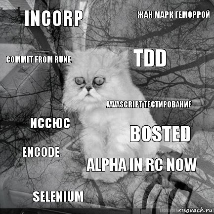 inCorp Bosted TDD SELENIUM иссюс Жан Марк геморрой ALPHA IN RC NOW Commit from RUNE ENCODE JAVASCRIPT тестирование, Комикс  кот безысходность