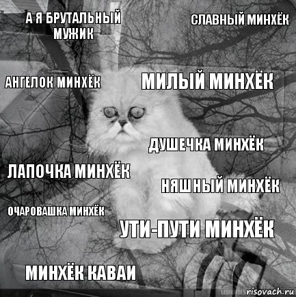 а я брутальный мужик няшный минхёк милый минхёк минхёк каваи лапочка минхёк славный минхёк ути-пути минхёк ангелок минхёк очаровашка минхёк душечка минхёк, Комикс  кот безысходность