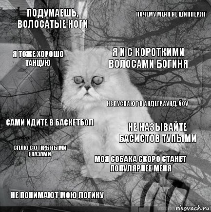 подумаешь, волосатые ноги не называйте басистов тупыми я и с короткими волосами богиня не понимают мою логику сами идите в баскетбол почему меня не шипперят моя собака скоро станет популярнее меня я тоже хорошо танцую сплю с открытыми глазами не пускают в андеграунд, йоу, Комикс  кот безысходность