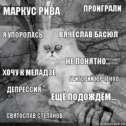 Маркус Рива Григорий Юрченко Вячеслав Басюл Святослав Степанов Хочу к Меладзе Проиграли Ещё подождём... Я упоролась Депрессия Не понятно..., Комикс  кот безысходность