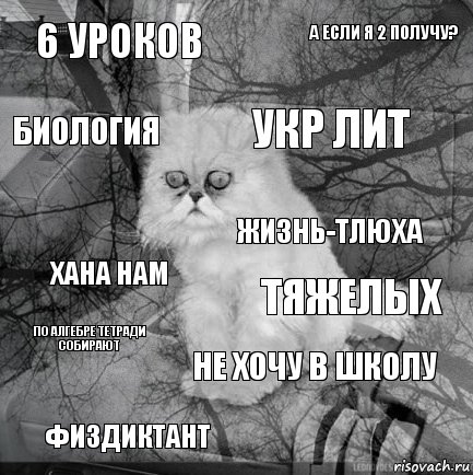 6 уроков тяжелых укр лит физдиктант хана нам а если я 2 получу? не хочу в школу биология по алгебре тетради собирают жизнь-тлюха, Комикс  кот безысходность