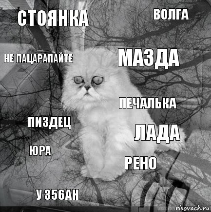 стоянка лада мазда у 356ан пиздец волга рено не пацарапайте юра печалька, Комикс  кот безысходность