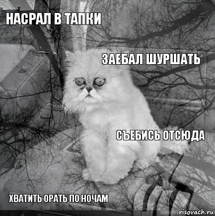 Насрал в тапки Съебись отсюда Заебал шуршать Хватить орать по ночам      , Комикс  кот безысходность