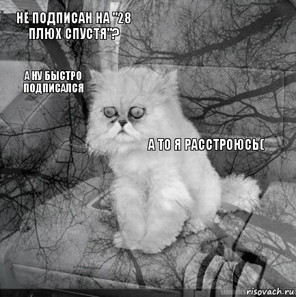 Не подписан на "28 плюх спустя"?       А ну быстро подписался  А то я расстроюсь(, Комикс  кот безысходность