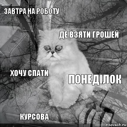 Завтра на роботу Понеділок Де взяти грошей Курсова Хочу спати     , Комикс  кот безысходность