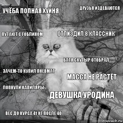 Учёба полная хуйня Масса не растёт Отпиздил 8 классник Вес до курса 41 кг после 40 Зачем-то купил пневмат Друзья издеваются Девушка уродина Путают с гоблином Лопнули капиляры Батя скутыр отобрал, Комикс  кот безысходность