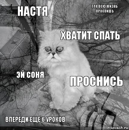 настя проснись хватит спать впереди еще 6 уроков эй соня так всю жизнь проспишь    , Комикс  кот безысходность