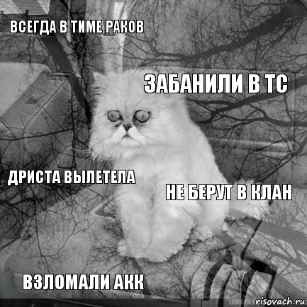 всегда в тиме раков не берут в клан забанили в тс взломали акк дриста вылетела     , Комикс  кот безысходность