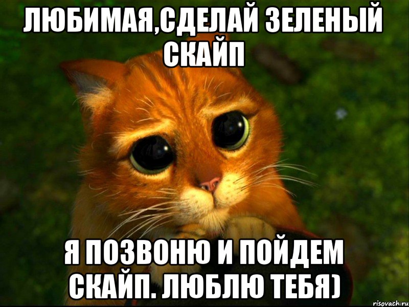 Любимая,сделай зеленый скайп Я позвоню и пойдем скайп. Люблю тебя), Мем кот из шрека