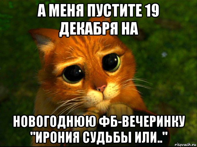 а меня пустите 19 декабря на новогоднюю фб-вечеринку "ирония судьбы или..", Мем кот из шрека