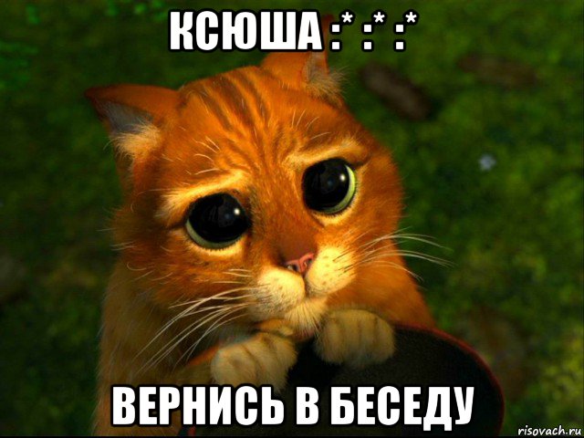 ксюша :* :* :* вернись в беседу, Мем кот из шрека