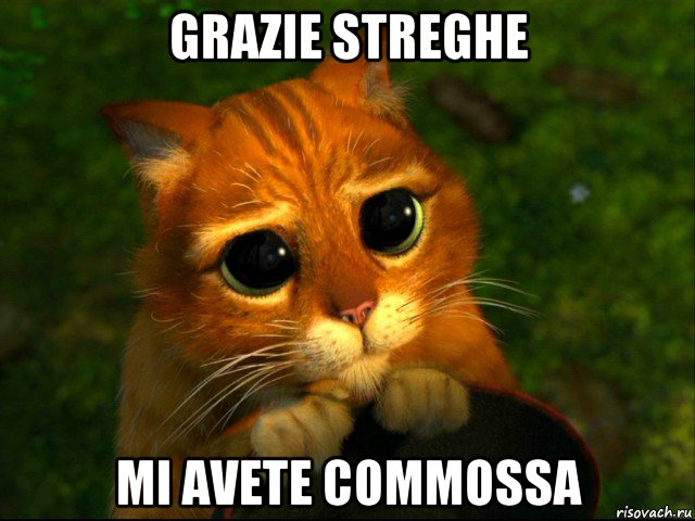 grazie streghe mi avete commossa, Мем кот из шрека