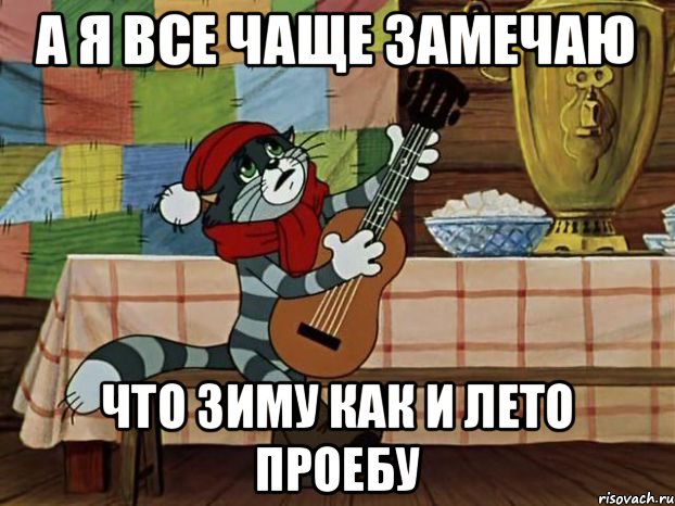 А я все чаще замечаю Что зиму как и лето проебу, Мем Кот Матроскин с гитарой