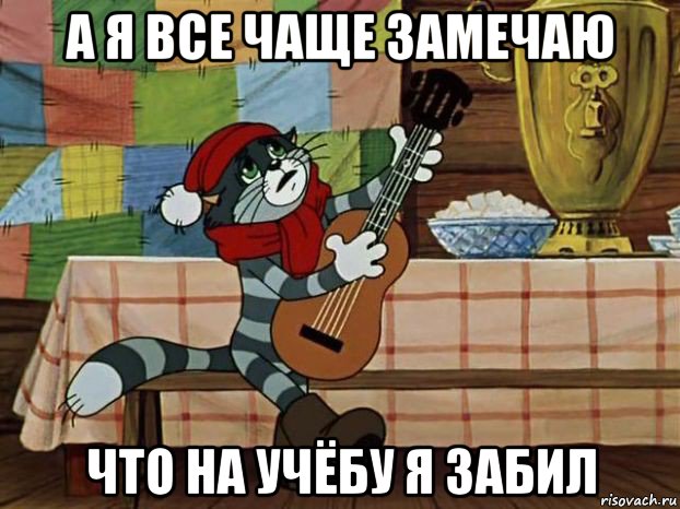 а я все чаще замечаю что на учёбу я забил, Мем Кот Матроскин с гитарой