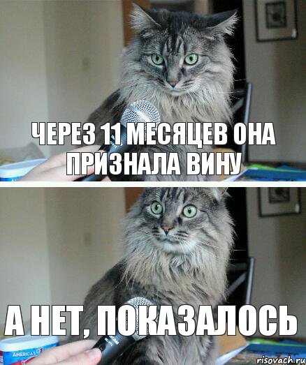 через 11 месяцев она признала вину А нет, показалось, Комикс  кот с микрофоном