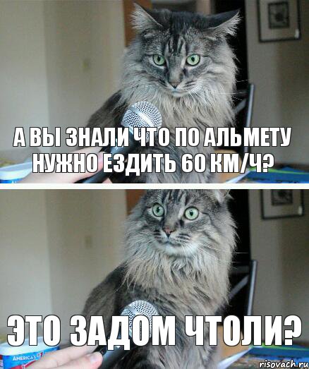 А вы знали что по Альмету нужно ездить 60 км/ч? Это задом чтоли?, Комикс  кот с микрофоном